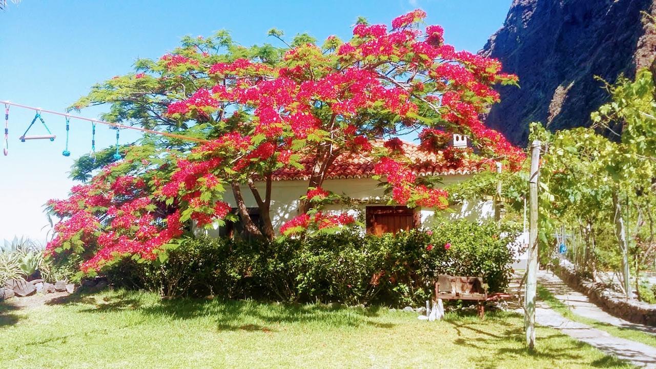 Villa Faja Dos Padres à Ribeira Brava Extérieur photo