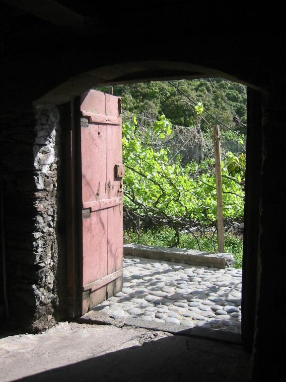 Villa Faja Dos Padres à Ribeira Brava Extérieur photo