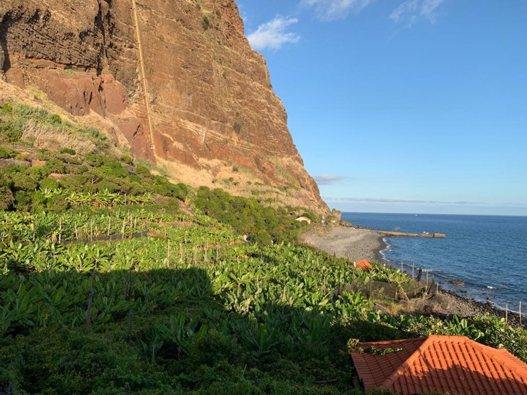 Villa Faja Dos Padres à Ribeira Brava Extérieur photo